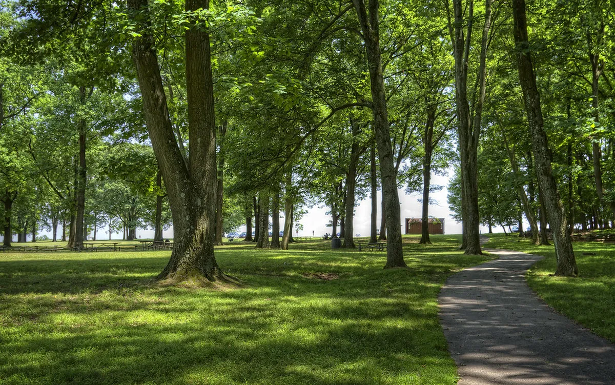 Best Picnic Spots During Your Bergamo Walk in 2025