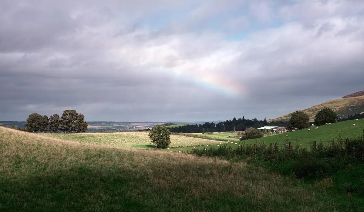 Dog Walking Rules in Bergamo Parks: Your Essential 2025 Guide