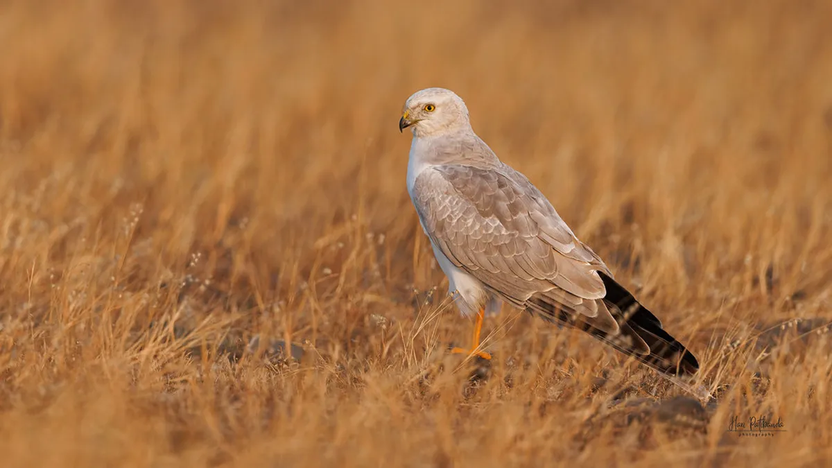 Bergamo Walking Trails: Easy, Medium, & Hard Routes