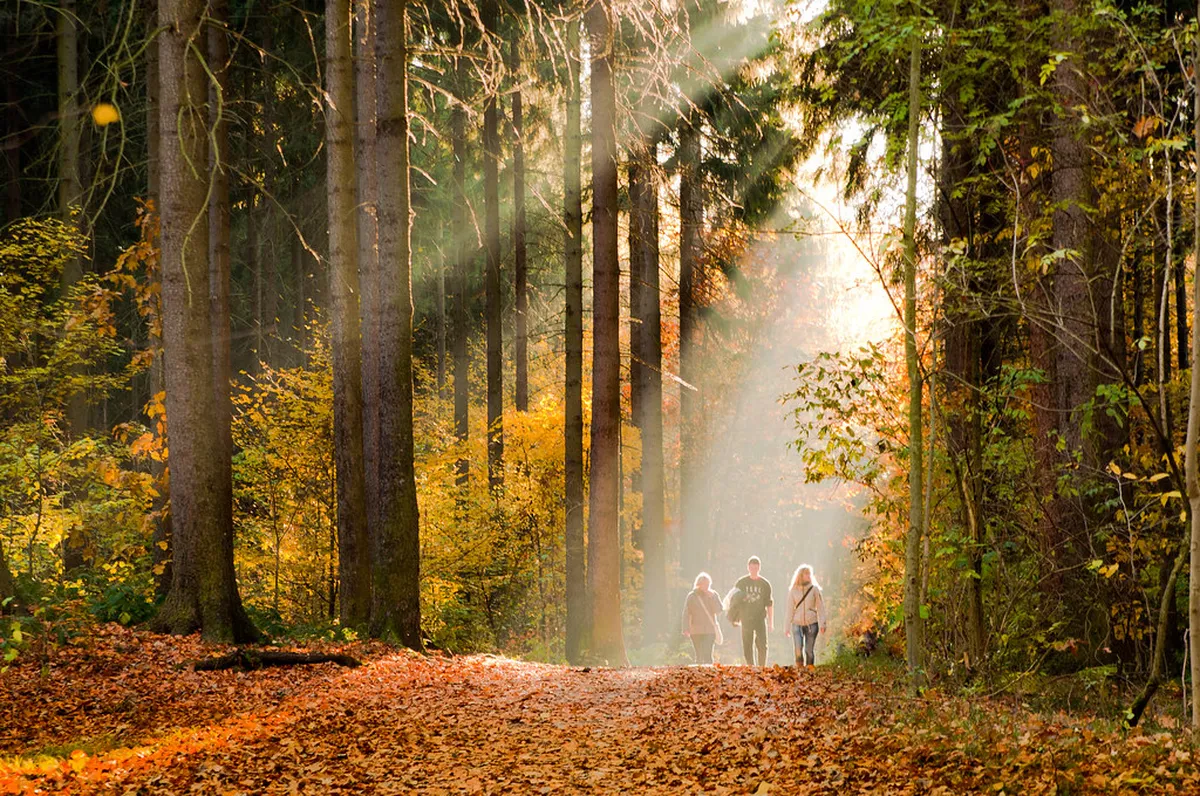 Easy Walks in Bergamo Citta Alta: Gentle Strolls for 2025