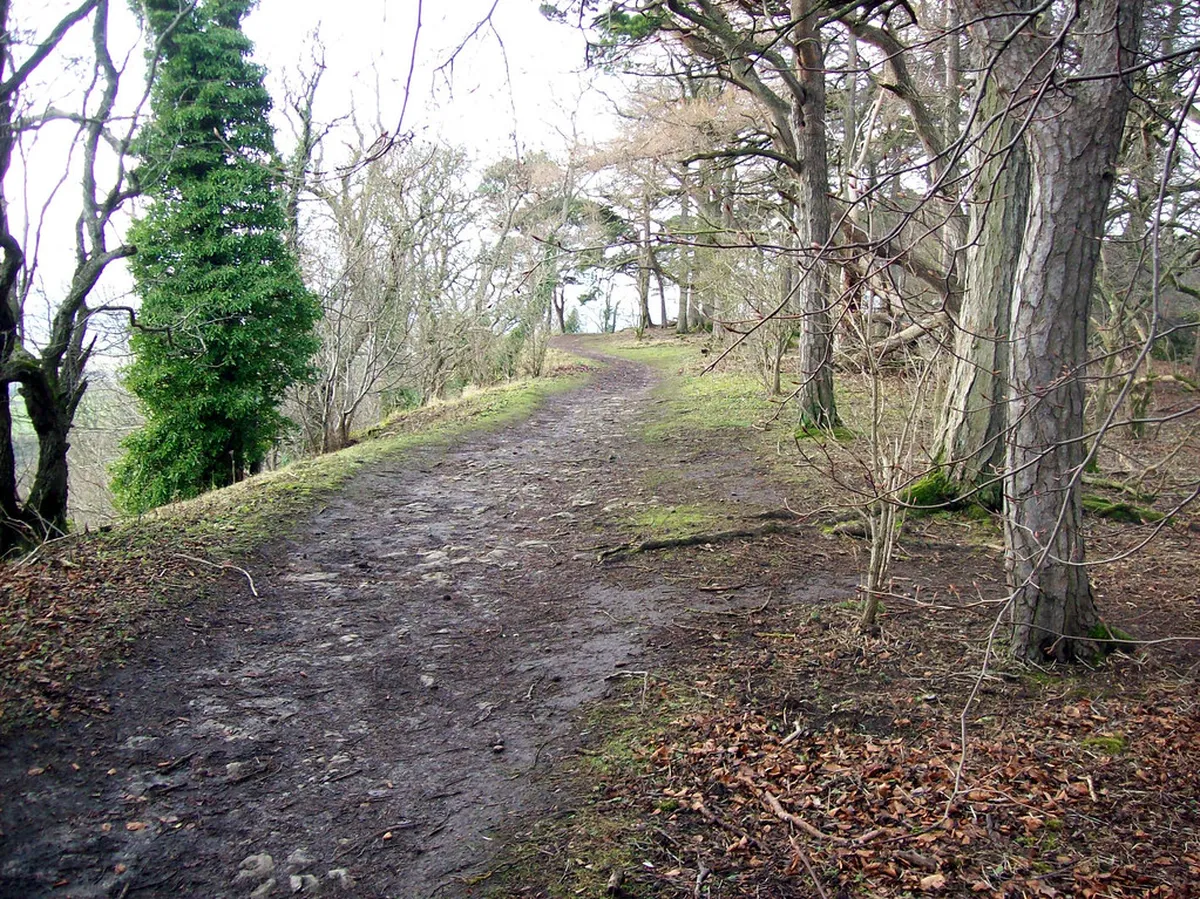 Flat Walking Paths Bergamo Citta Alta: Easy Strolls