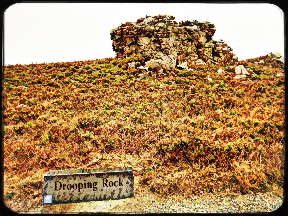 Fun Walking Trails for Children in Bergamo