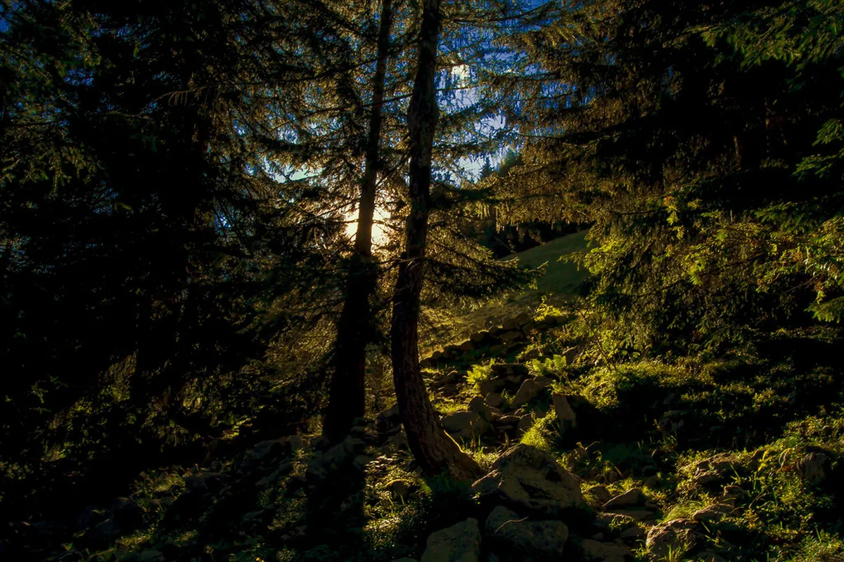 Getting to Bergamo Trailheads: Your 2025 Transport Guide