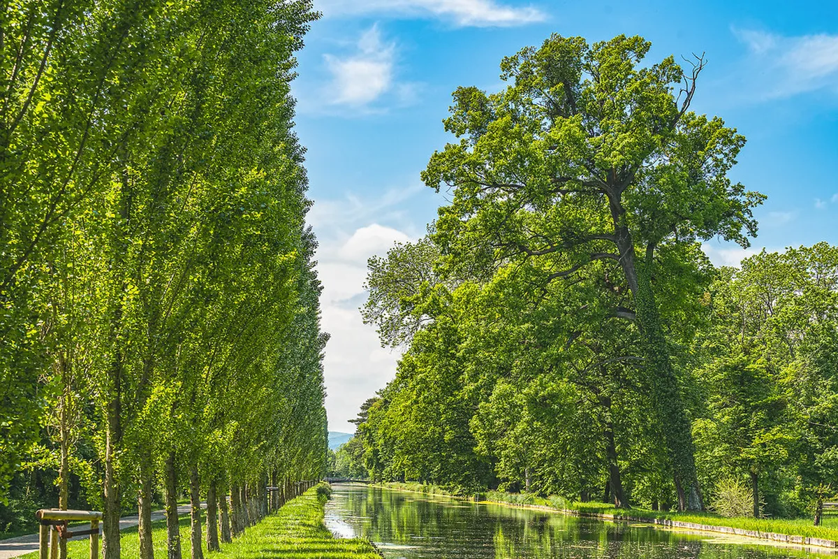 Bergamo's Historical Circuit Walk: Ancient Walls Guide