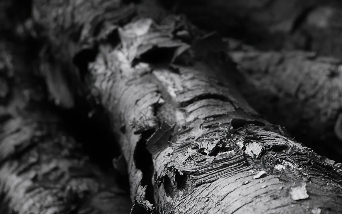 Discover Intimate Walking Routes in Bergamo Citta Alta