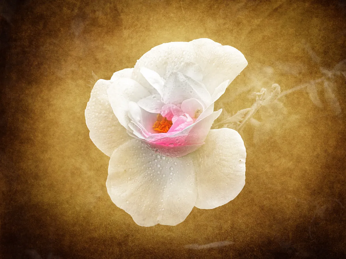 Long Day Walks in Bergamo Region: Top Routes 2025