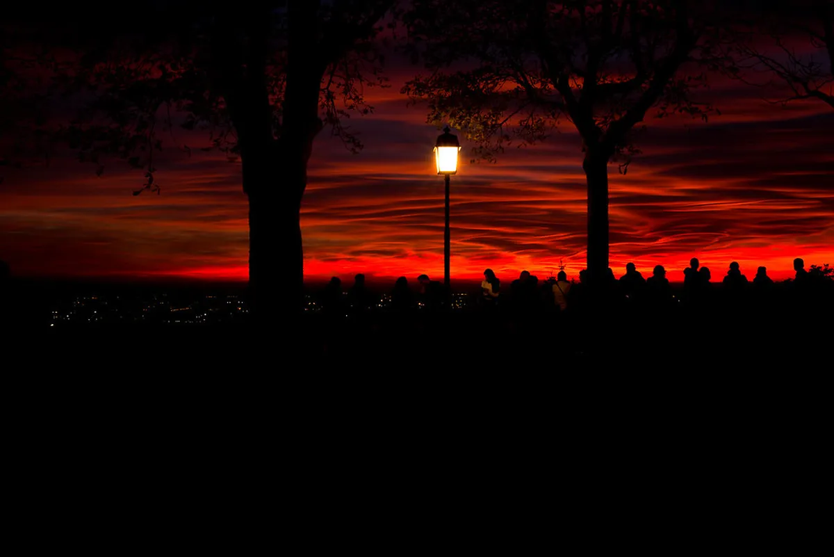 Dog-Friendly Parks in Bergamo: On-Leash Walks 2025