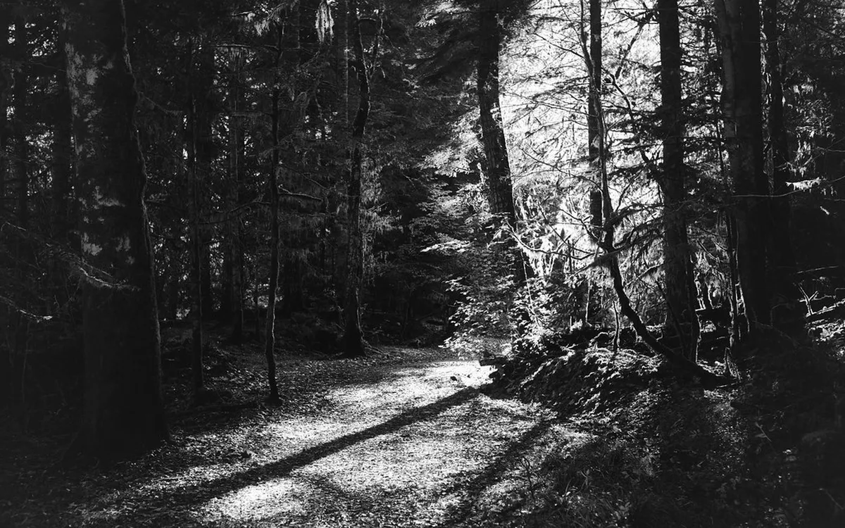 Best Seasonal Walks for Autumn in Bergamo 2025