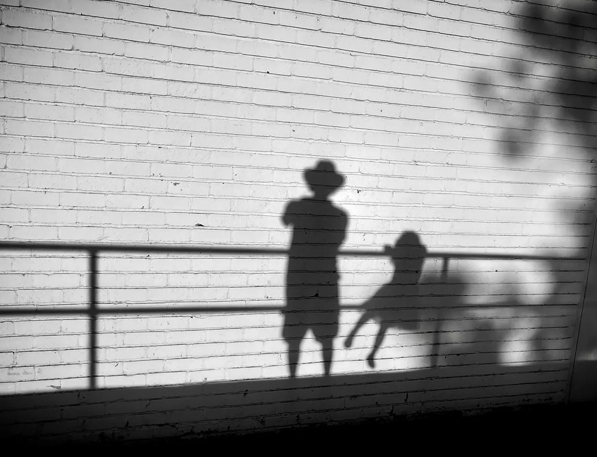 Best Summer Evening Walks in Bergamo, Italy