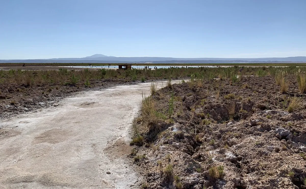 Hydrate Smart: Water Bottle Recommendations for Bergamo Walks