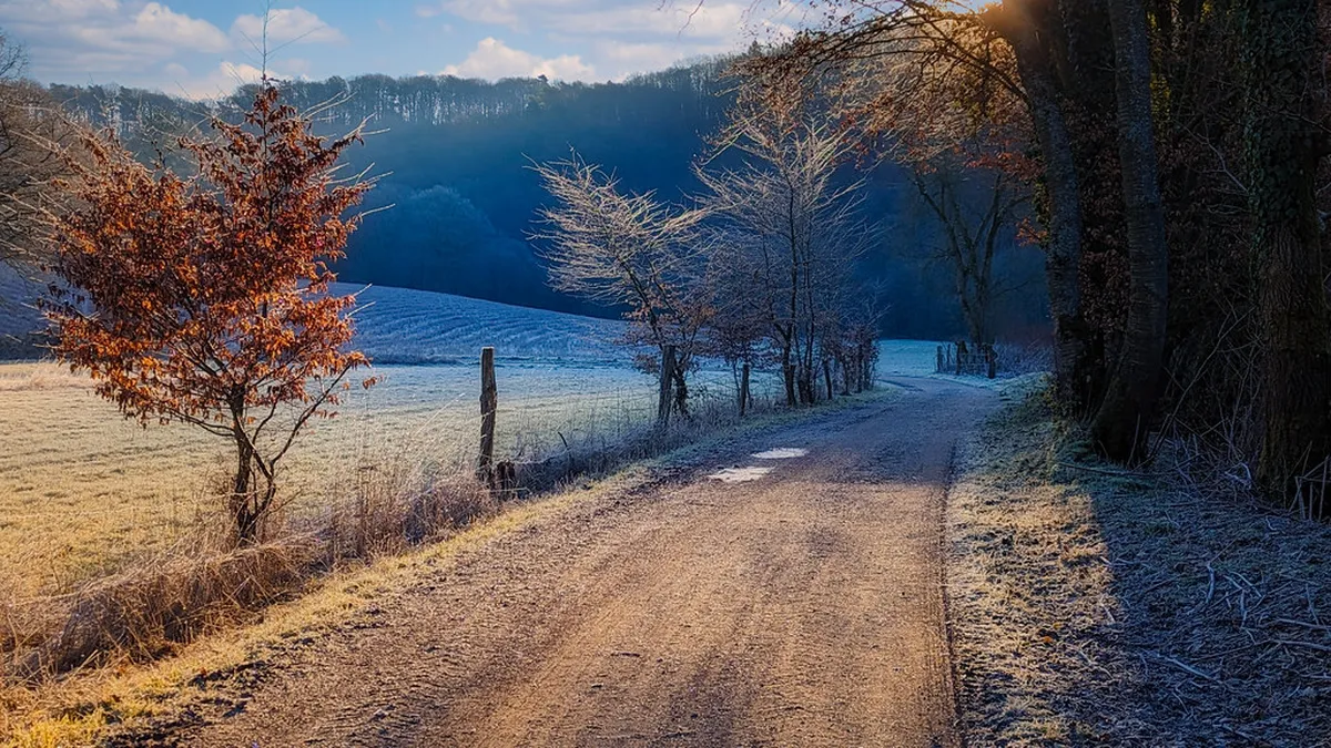 Best Wildflower Walks in Bergamo for Spring 2025