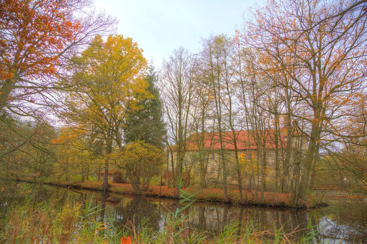 Enjoy Autumn Foliage Walks in Beautiful Bologna