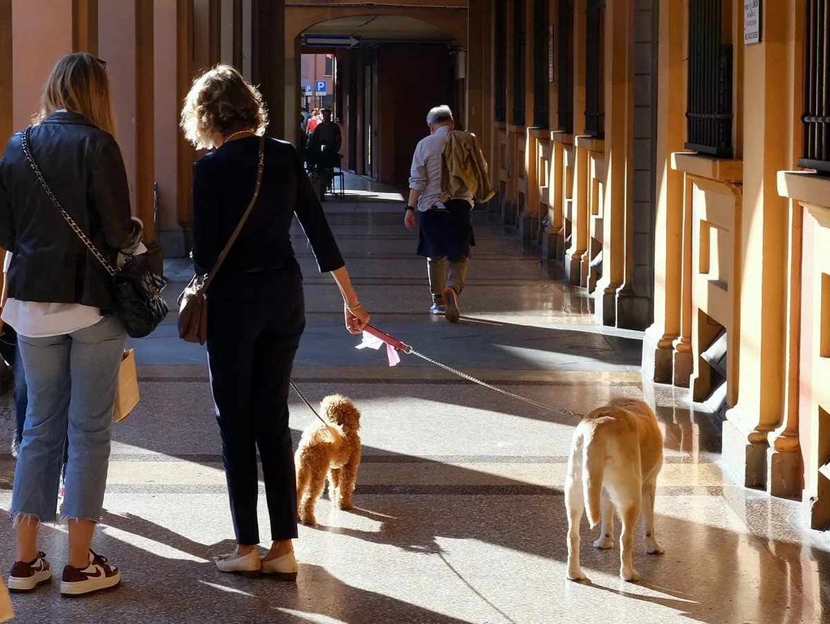 Best Bologna Walks with Dogs in 2025