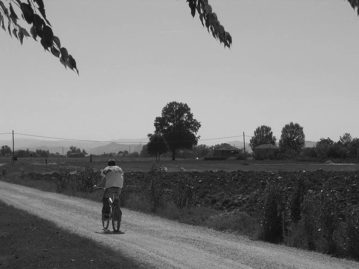 Easy Walks Bologna Seniors: Gentle Strolls in 2025