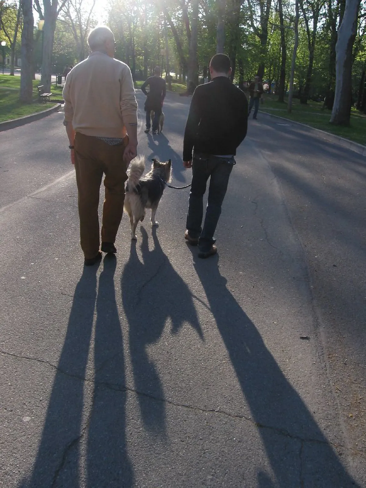 Giardini Margherita Walking Routes: Bologna's Green Oasis