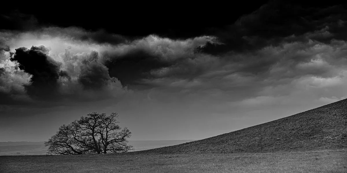 Bologna's Hilly Walks: Best Views of the City