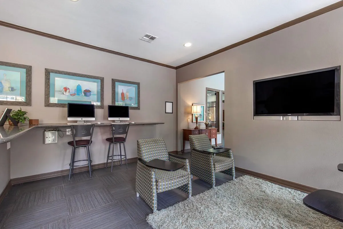 Pet Friendly Walking Paths Bologna: Your 2025 Dog Guide