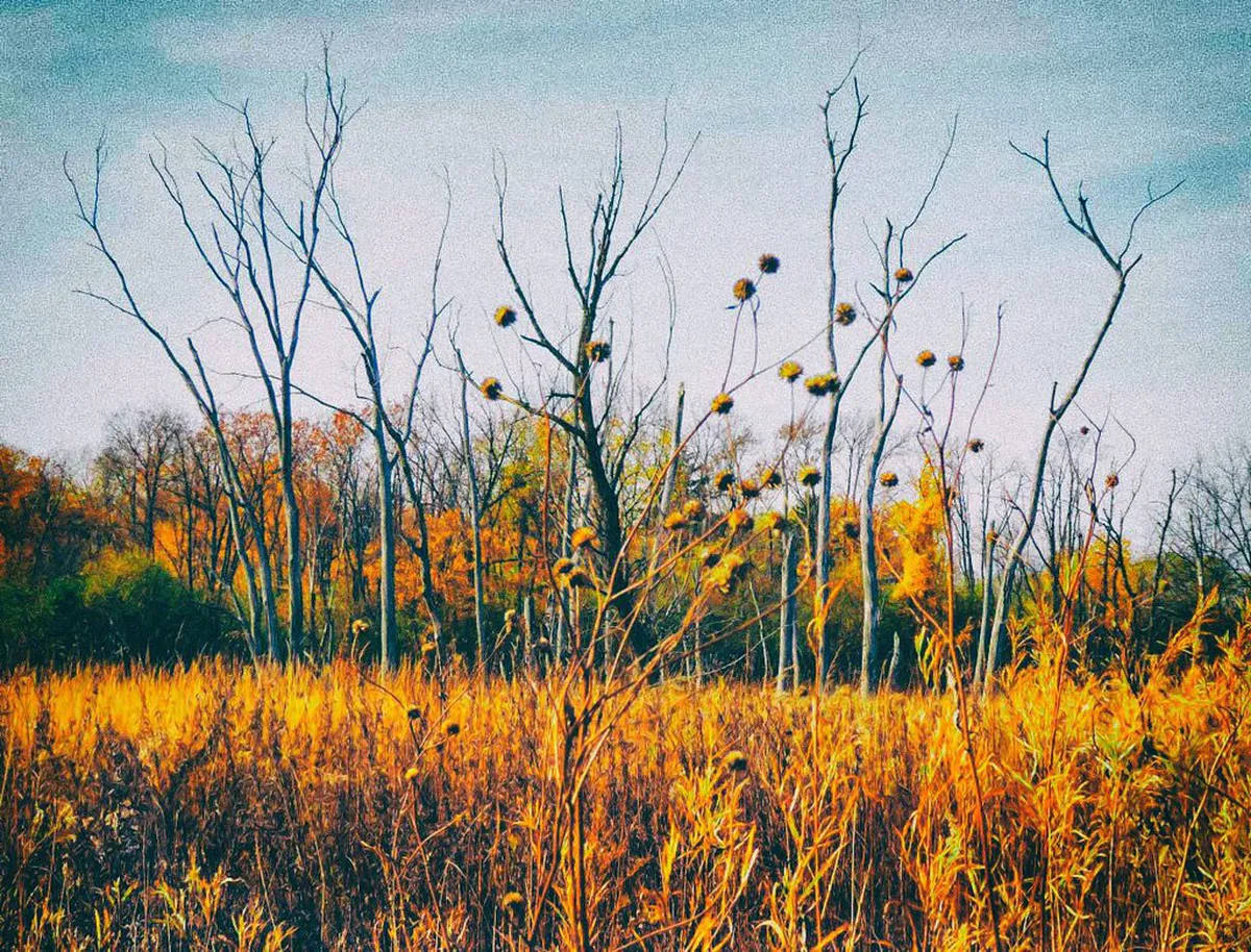 Vibrant Fall Colors Walking Routes Bologna in 2025