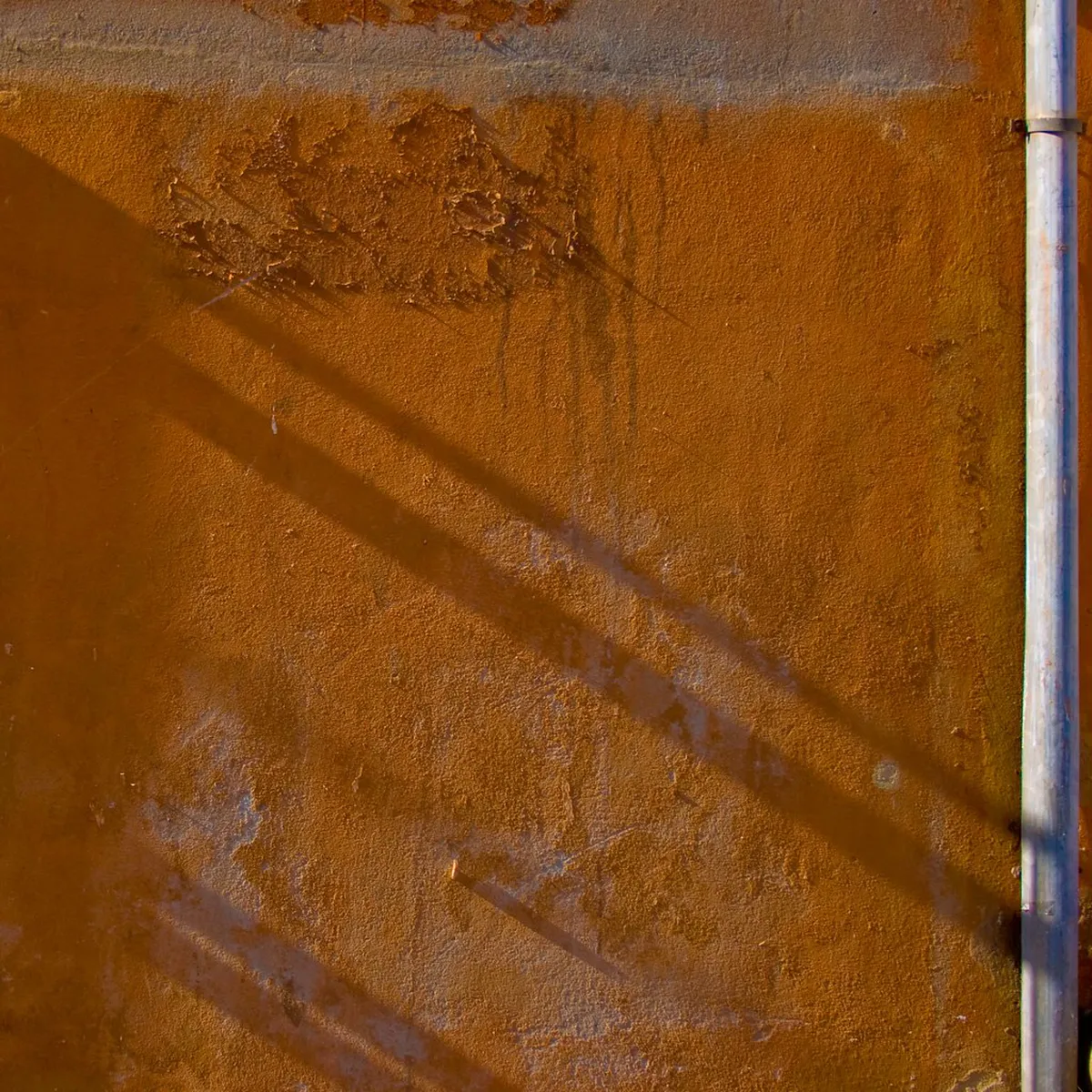 When to Walk Bologna: Best Weather for Your Visit 2025