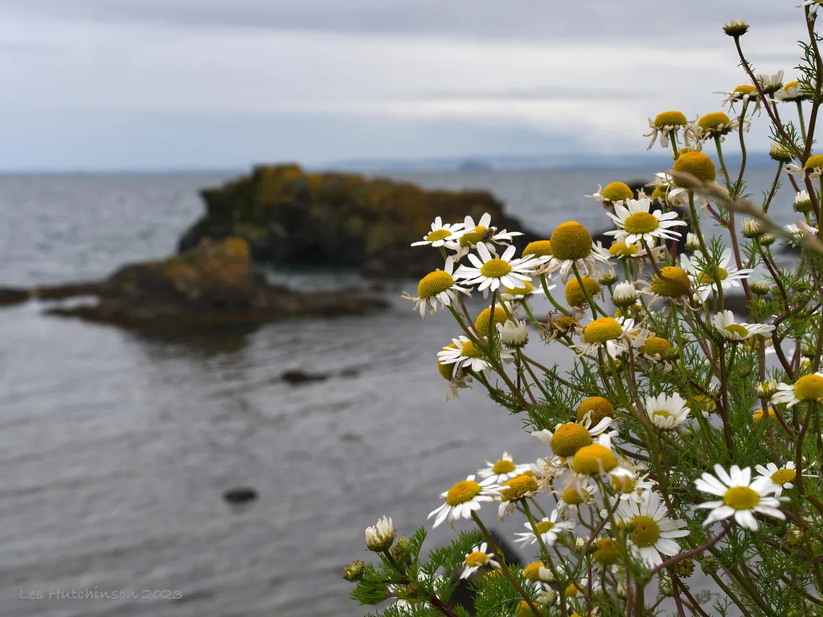 Best Coastal Paths Near Lecce: Stunning Puglia Walks 2025