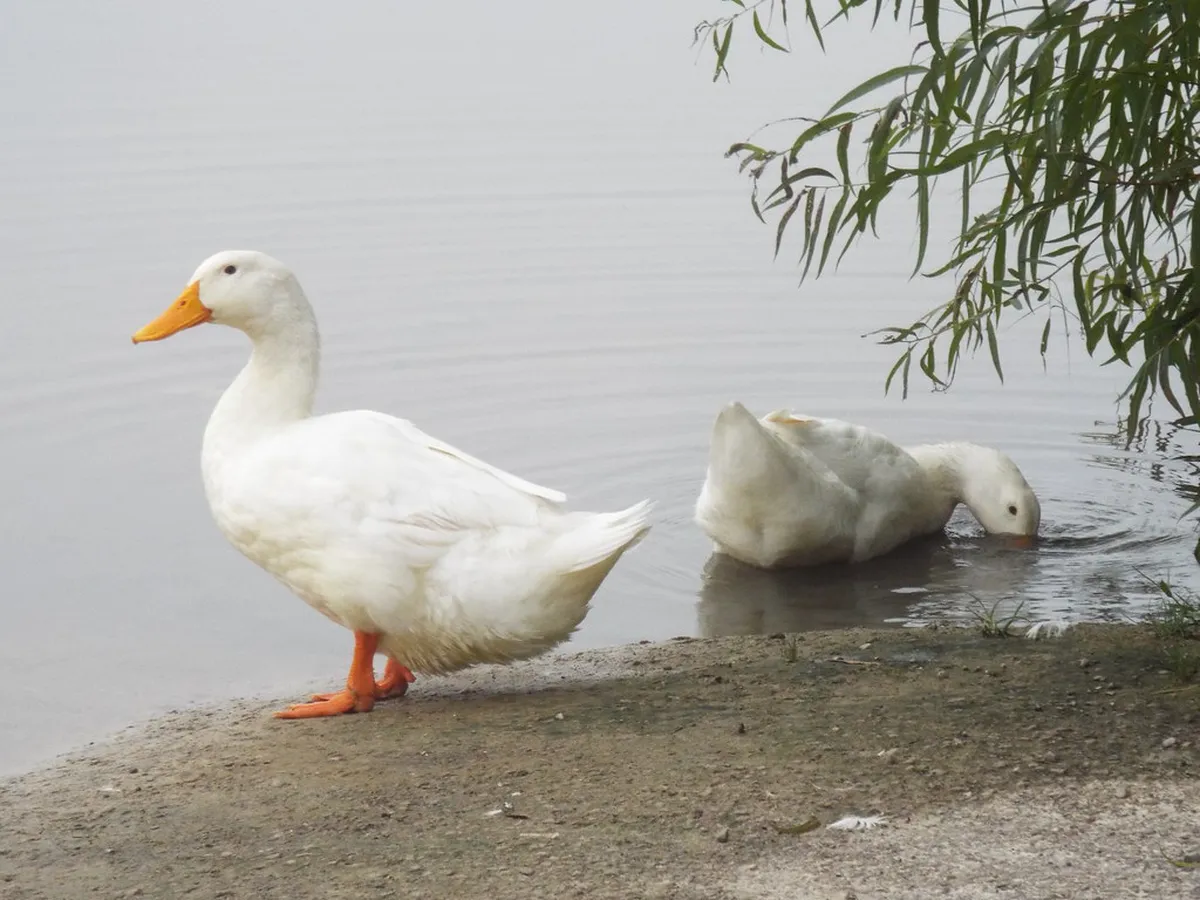 Enjoy Quiet Morning Walks in Lecce, Italy in 2025