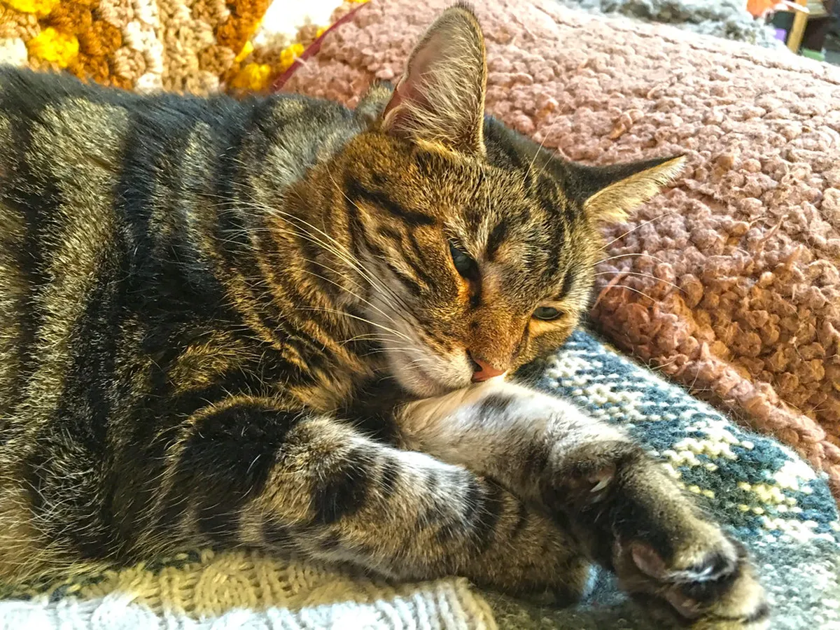 How Long Are Lecce Walks? Your Guide to Puglia's Baroque City