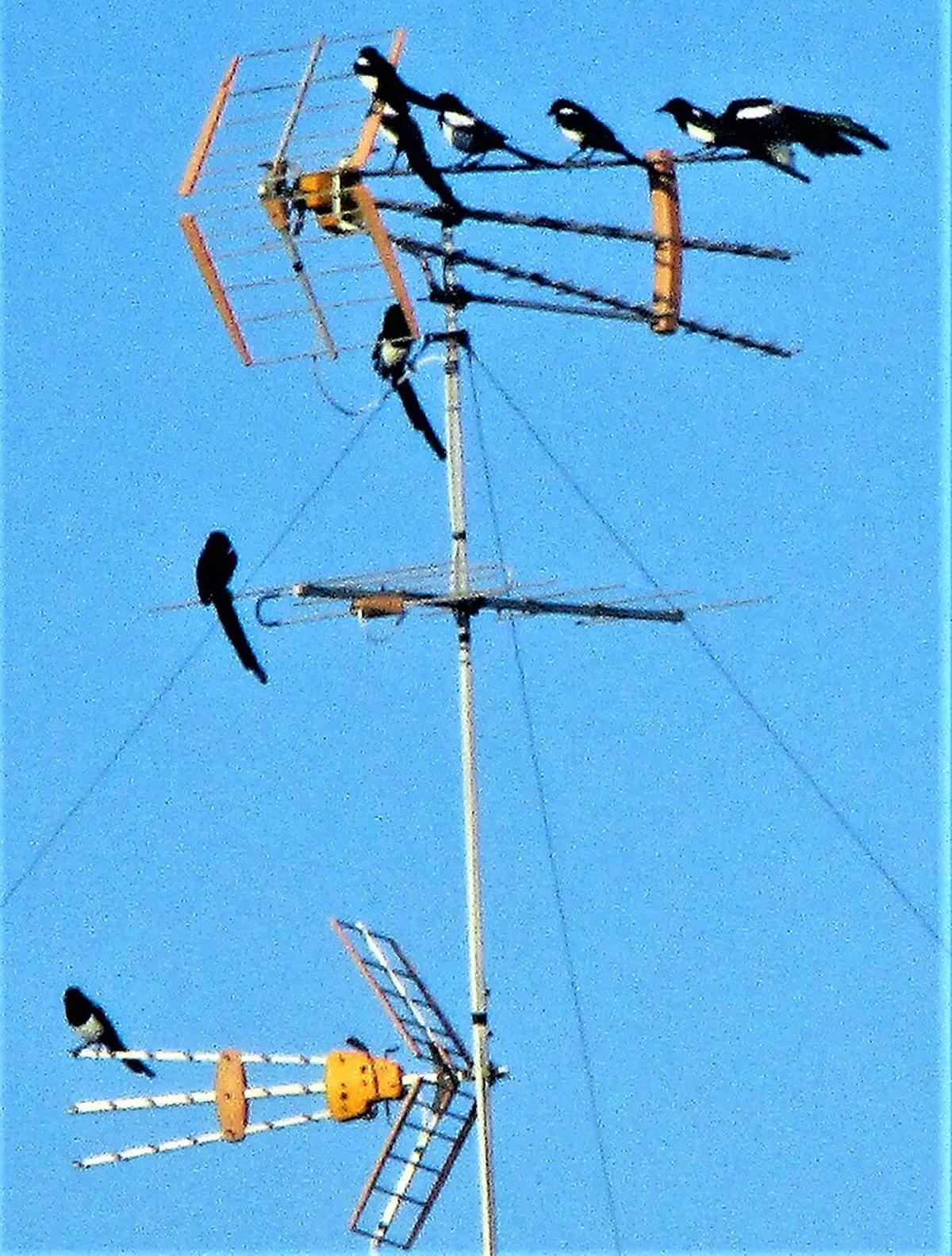 Lecce's Secret Alleys & Hidden Courtyards Walk Guide