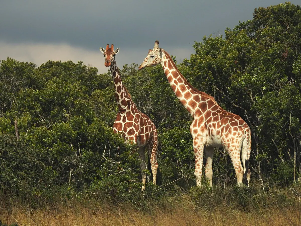 Safe Walking Areas Lecce City: Your 2025 Guide
