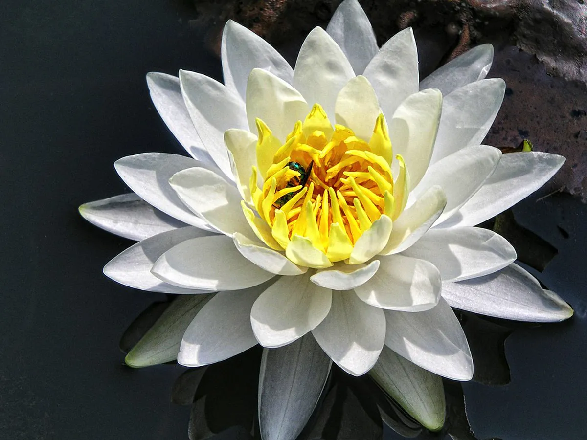 Discover Lecce's Vibrant Street Art Walking Tour