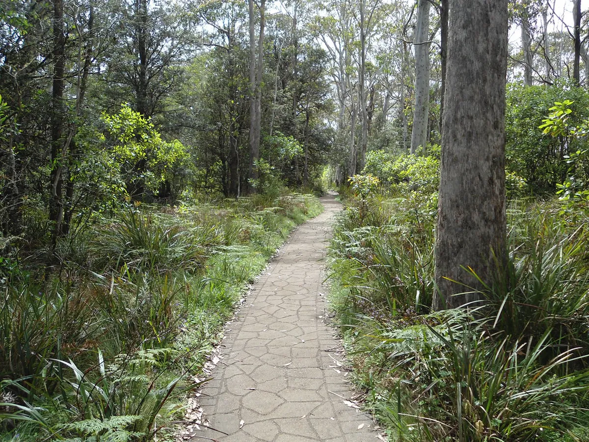 Wheelchair Friendly Walking Paths Lecce: An Accessible Guide