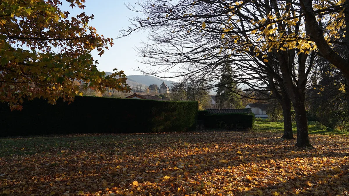 Lucca's Autumn Colors Walks: Your 2025 Guide