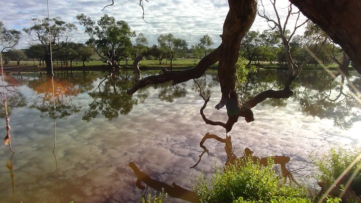 Best Seasonal Walks: Lucca Spring Flower Routes 2025