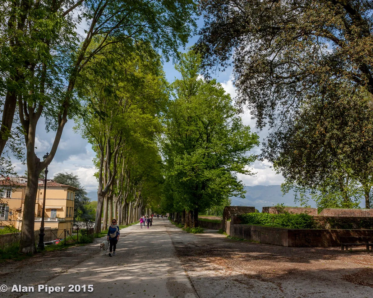 Complete Lucca Wall Walk Guide: Explore Tuscany in 2025