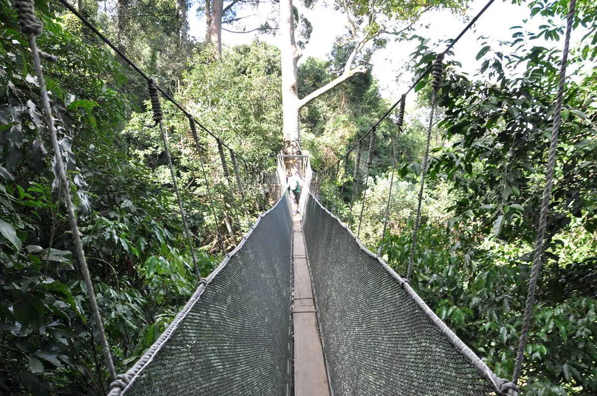 Difficult Uphill Walking Trails Lucca for 2025