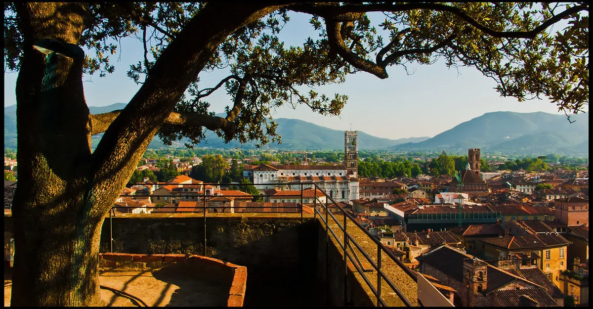 Lucca Observation Deck Walking Access: Climb for Views
