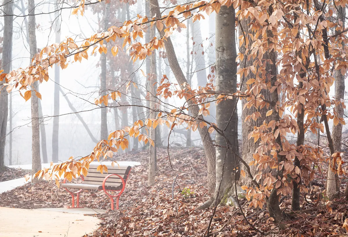 Peaceful Morning Walks in Lucca: A 2025 Guide