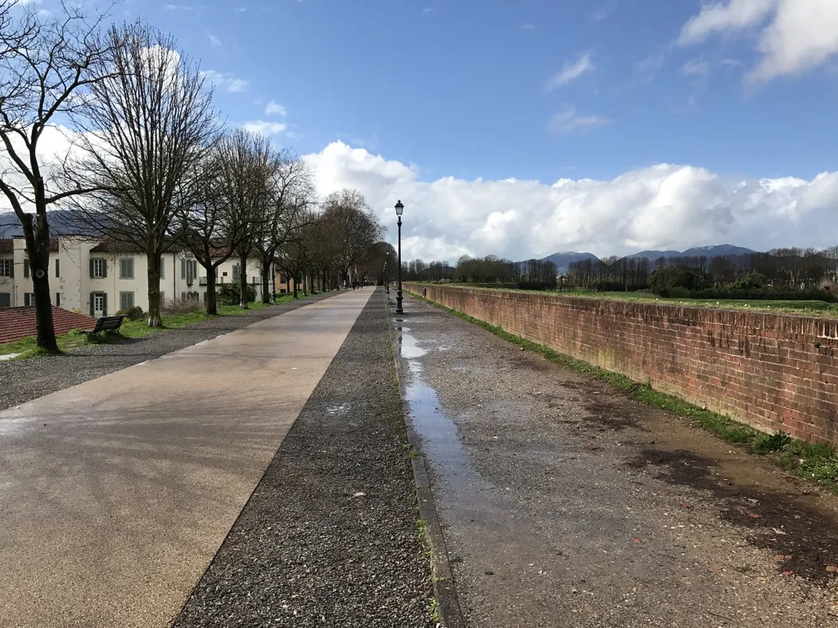 Unforgettable Traditional Lucca Experiences by Walk