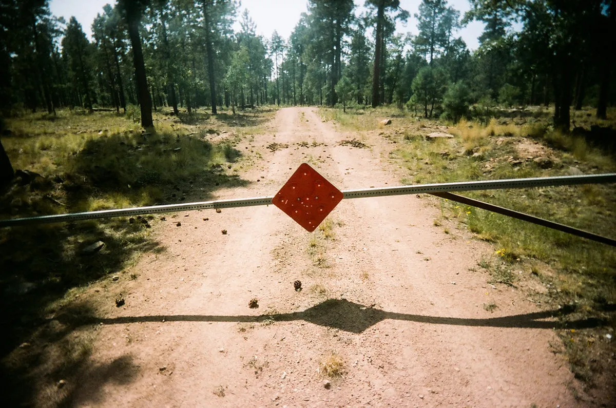 Lucca Picnic Spot Walks: Best Places to Relax in 2025