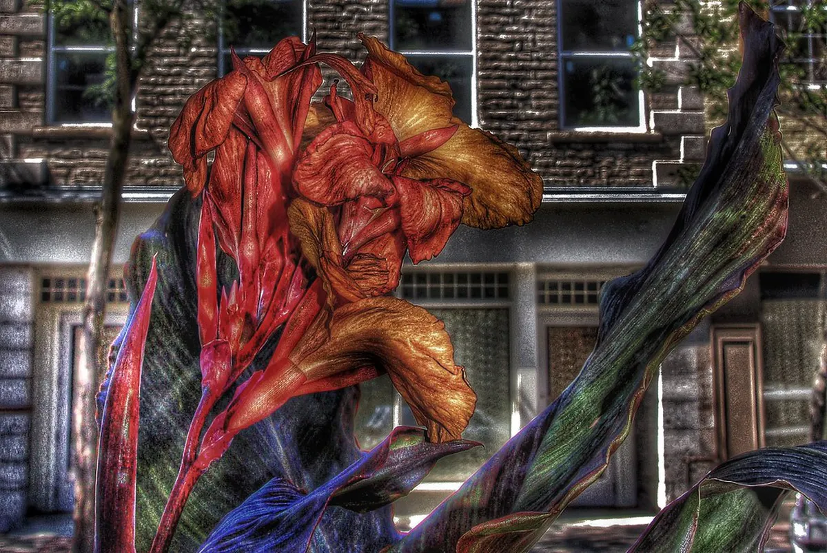 Walking to Local Markets Lucca: A Guide for 2025