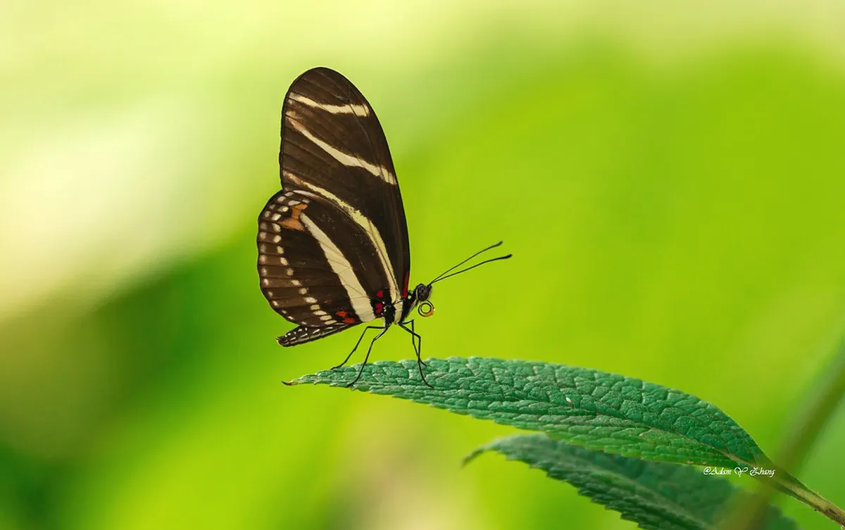 Gentle Matera Walks for Seniors: Your 2025 Guide