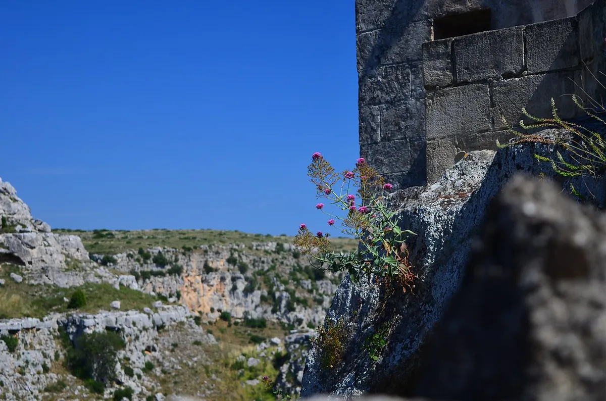 Matera Sassi Wine Bar Walking Route Guide 2025