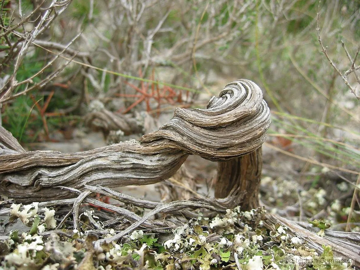 Discover Murgia Materana Scenic Trails in Matera