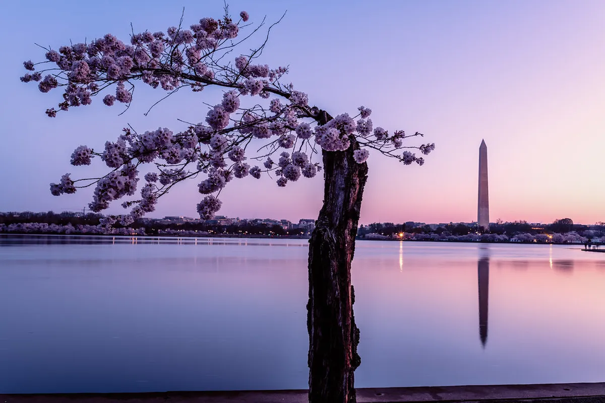 Discover Free Self-Guided Perugia City Walks