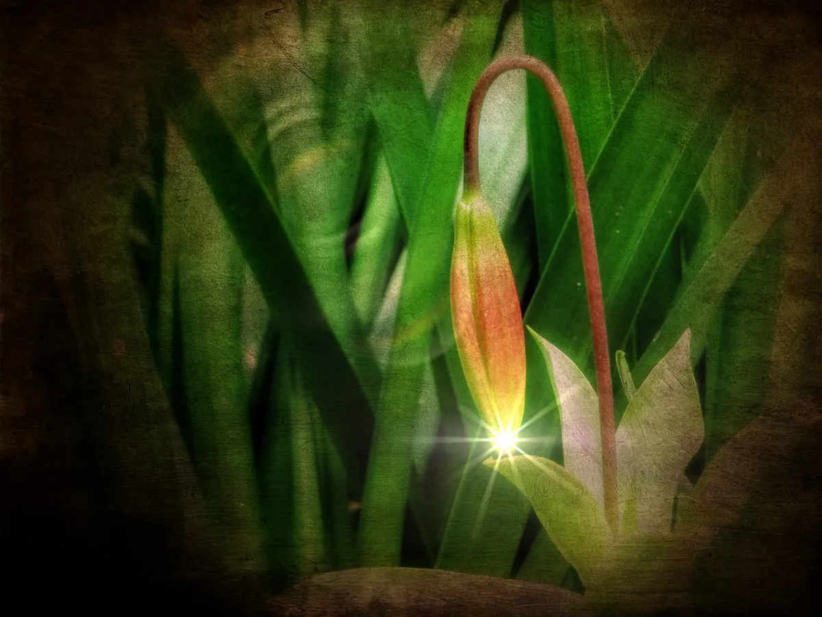 How to Choose Perugia Walks by Difficulty in 2025