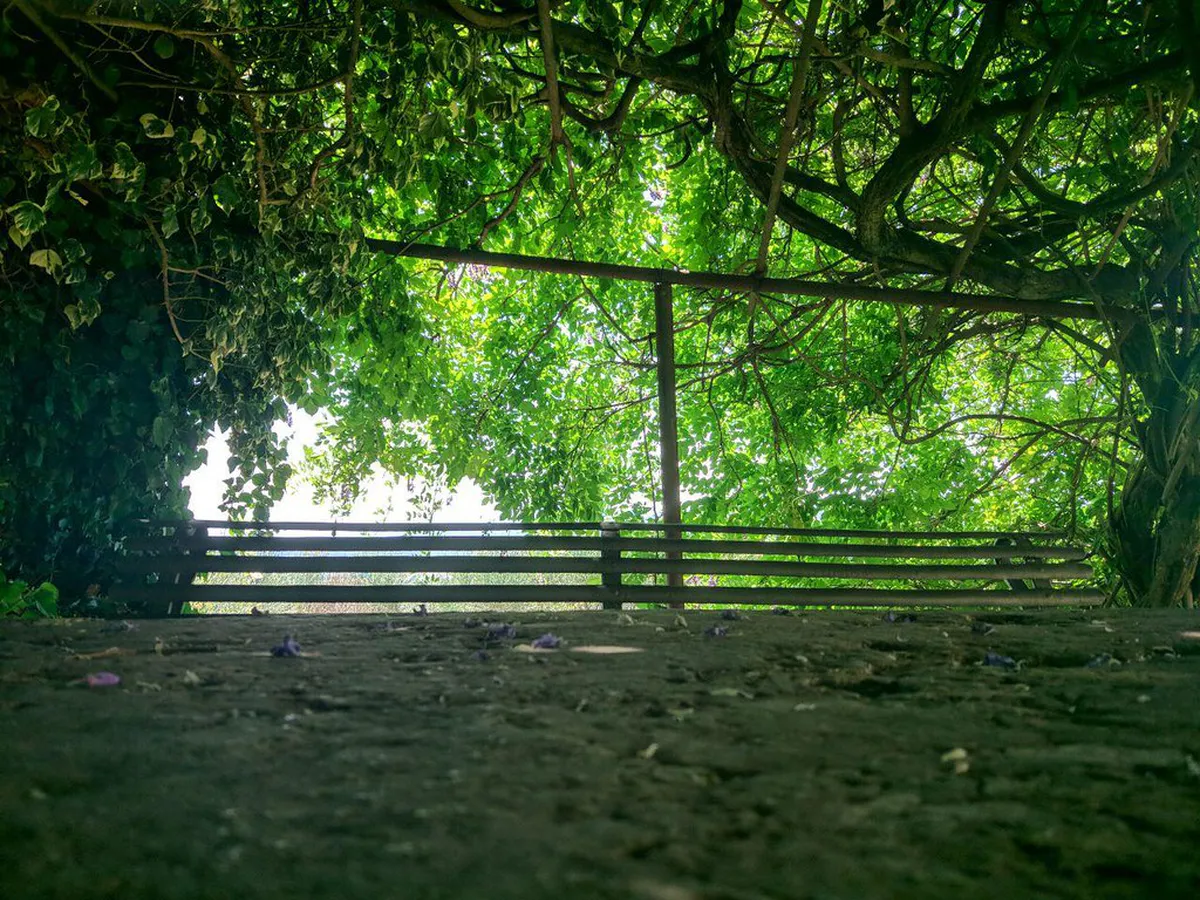 Perugia Park Walks Guide: Discover Green Oases