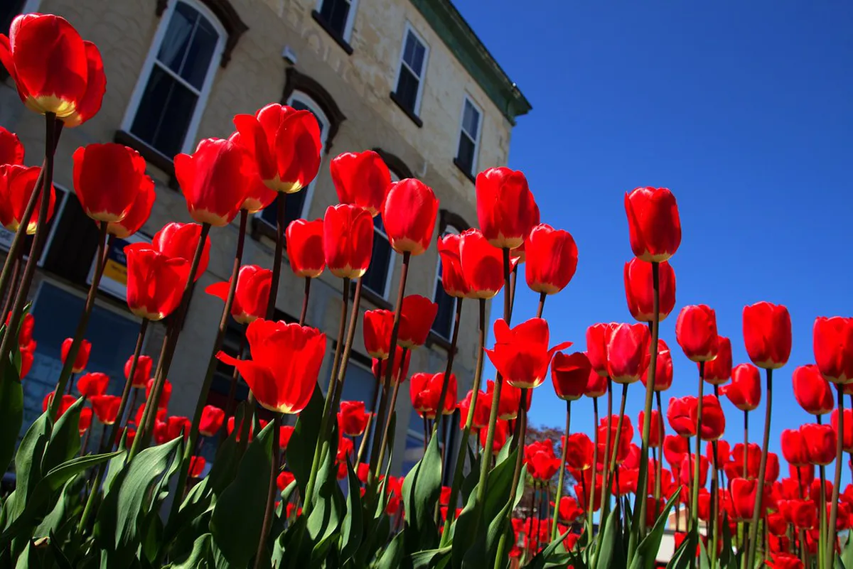 Perugia Urban Walking Routes: Explore Italy in 2025