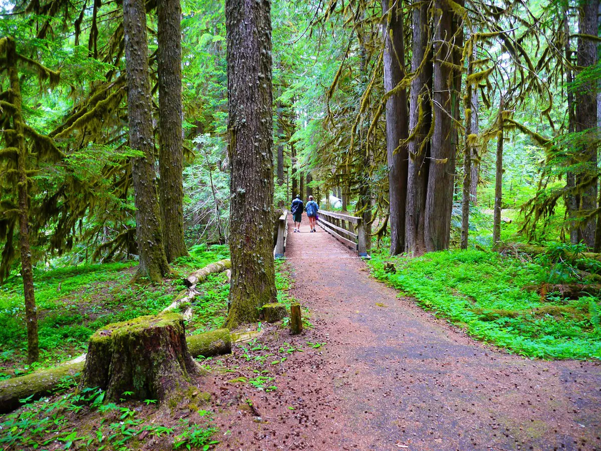 Discover Perugia's Best Scenic Park Walking Trails