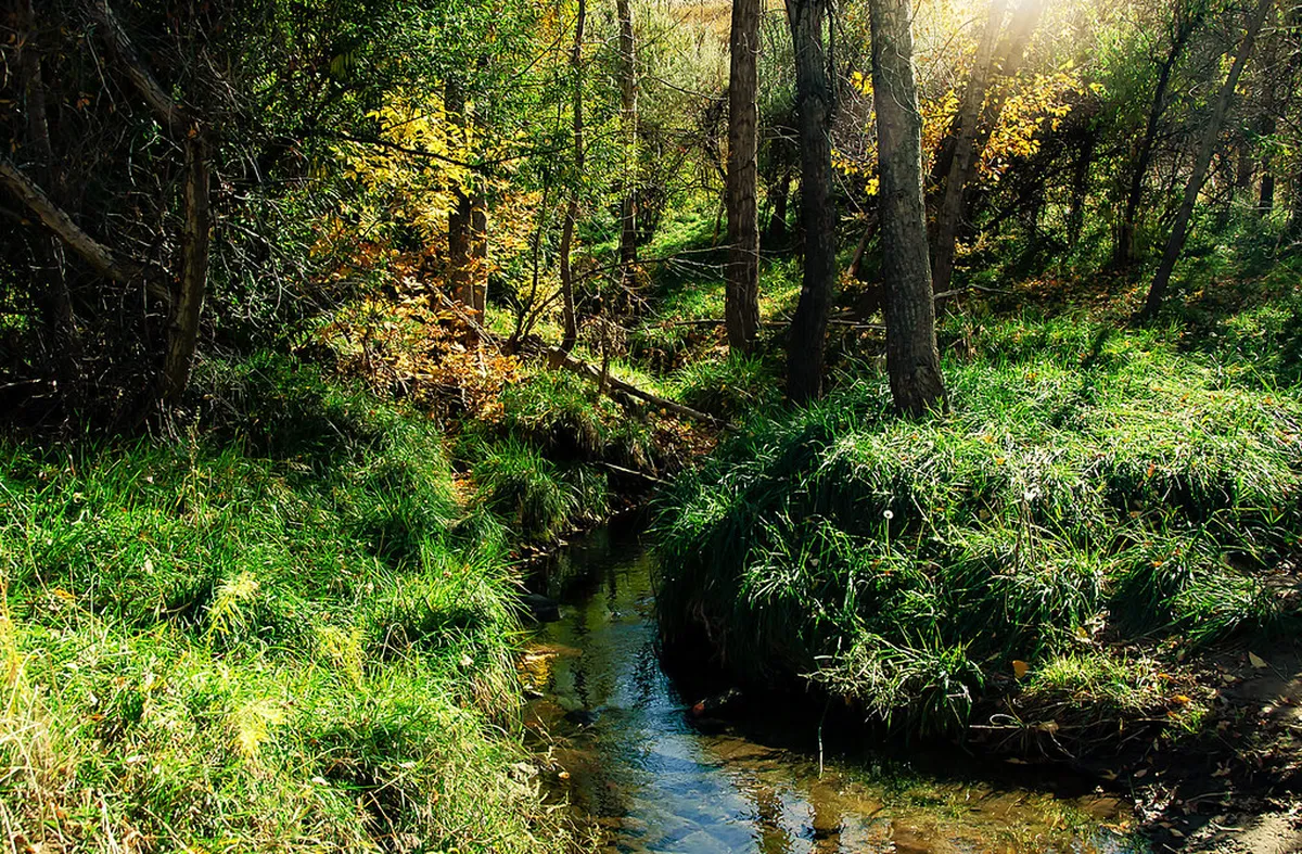 Discover Secret Walking Trails Perugia Locals Love in 2025