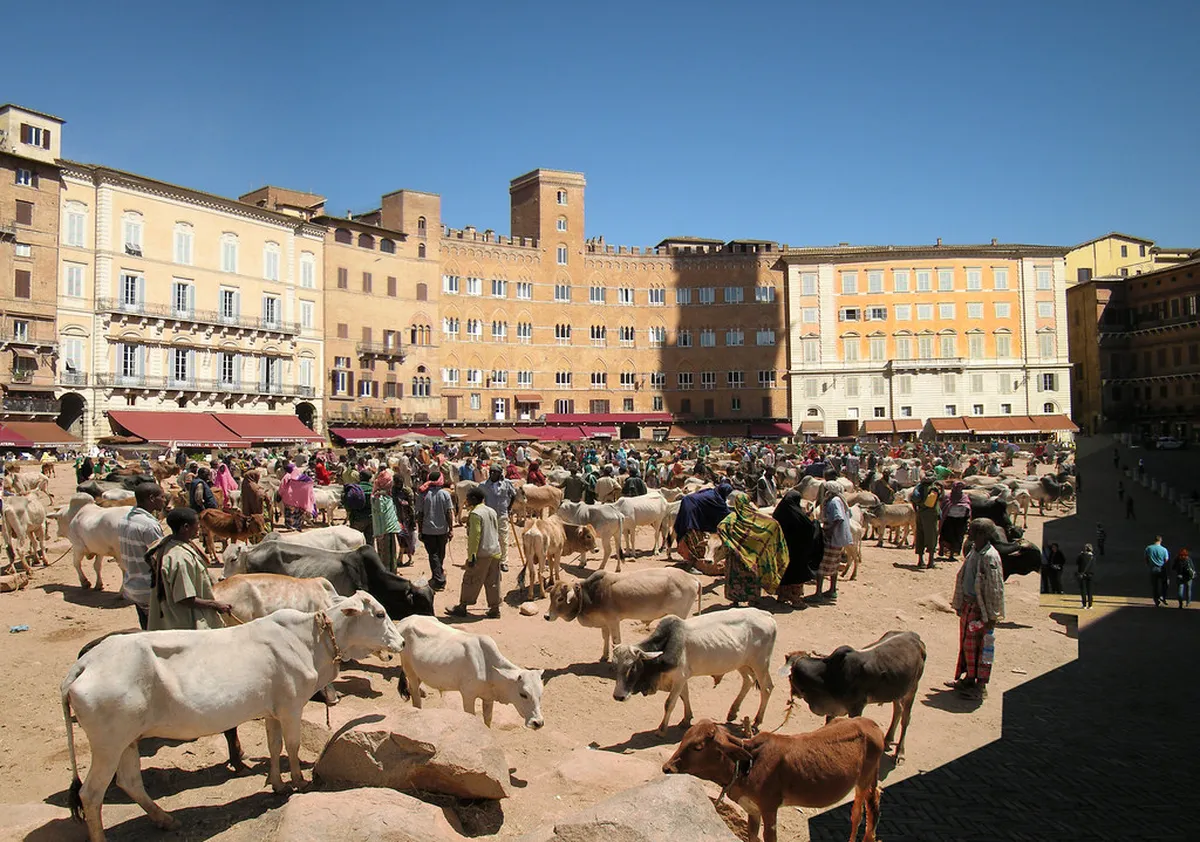 Siena Accessible Viewpoints & Gentle Walks in 2025