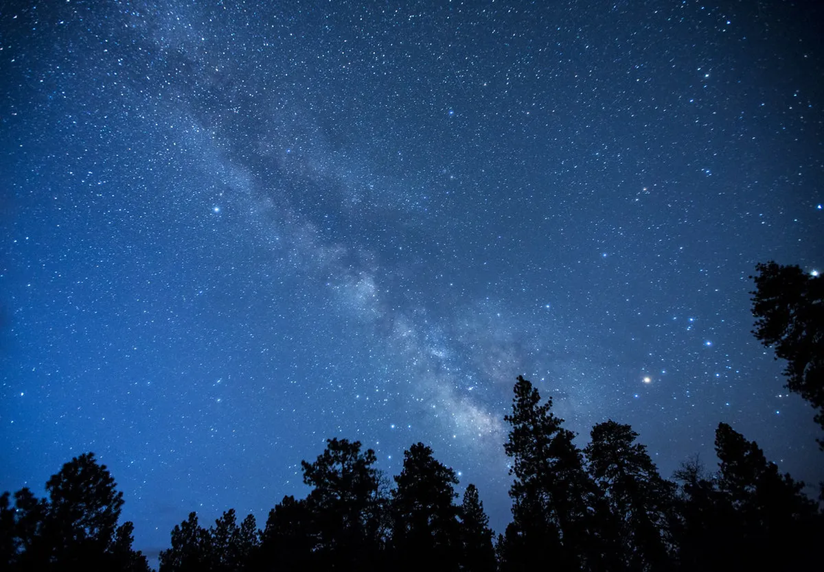 Best Month for Scenic Walks in Trieste 2025 Guide